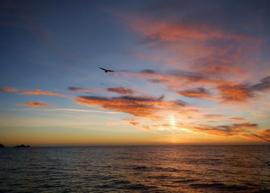 PacificaCA 12072012c