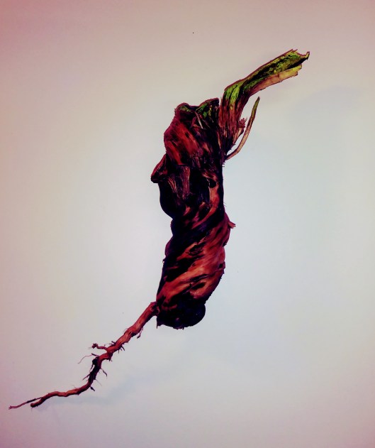 20171129_103050_Film1